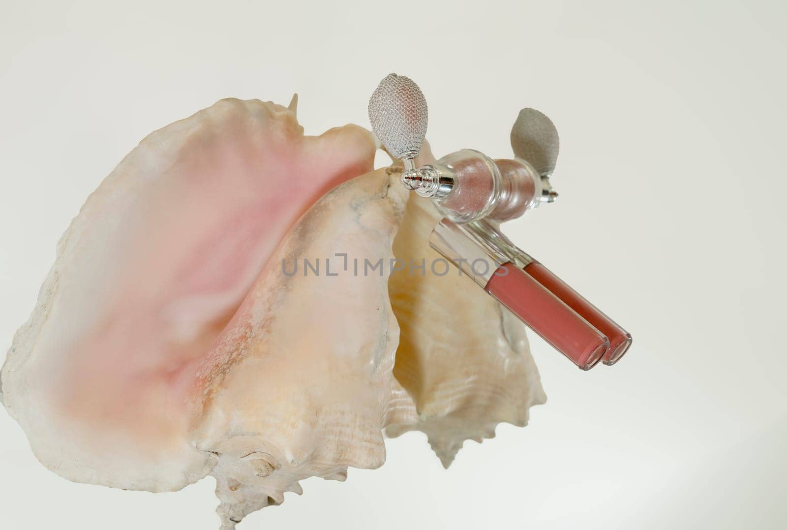 Pink lip gloss, highlighter in an original jar and a large soft pink seashell. The objects lie on a mirror surface. Flat lay with space for text.