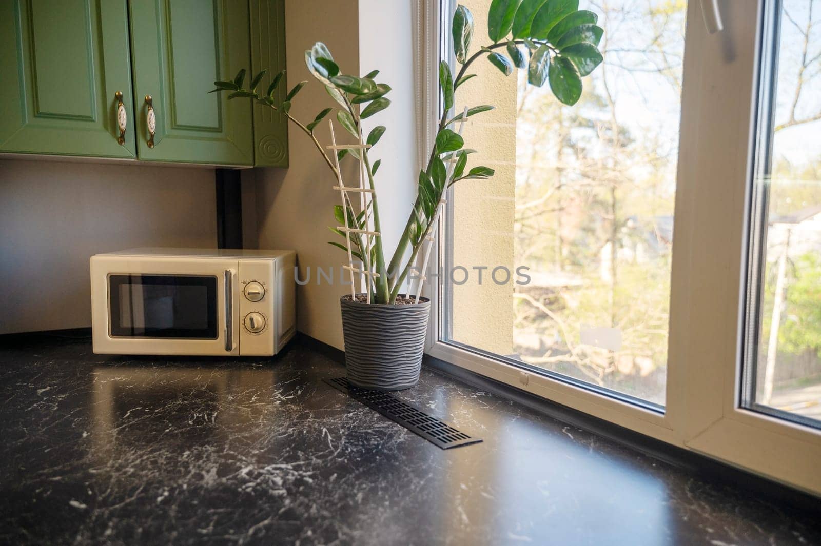 Kitchen detail with countertop, microwave, flower and window. Green kitchen cabinet, zamioculcas. Minimalist kitchen detail.