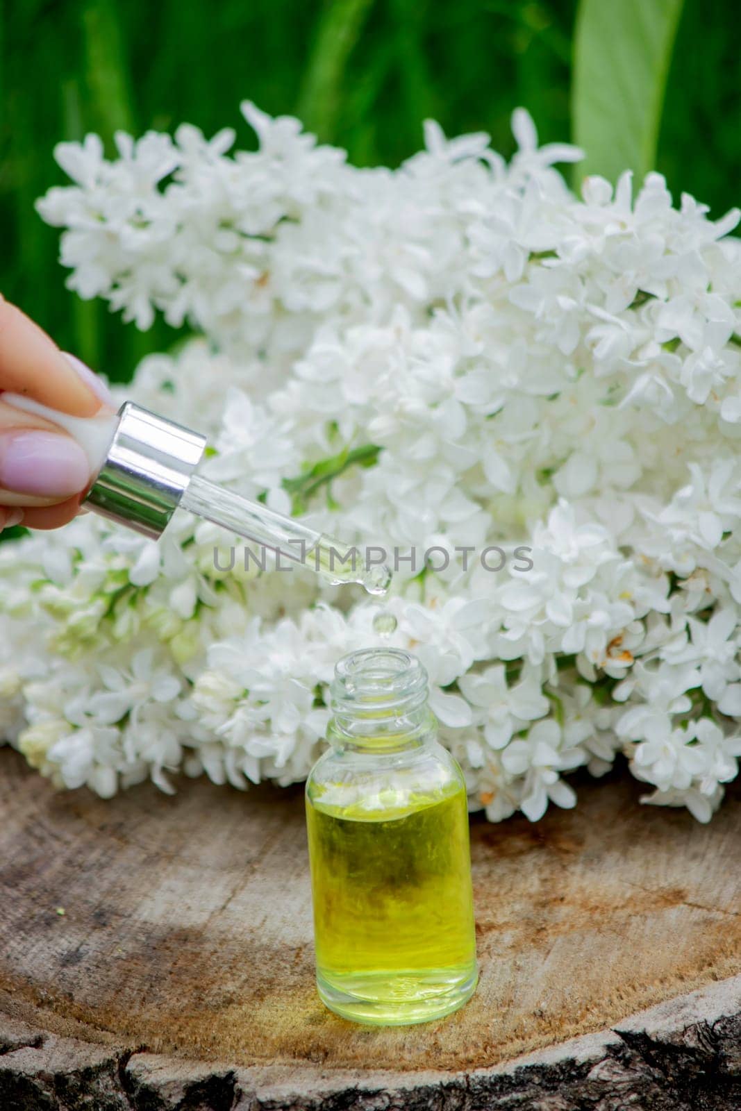 Lilac essential oil on a wooden stump. Bottle with aromatic oil and lilac flowers.