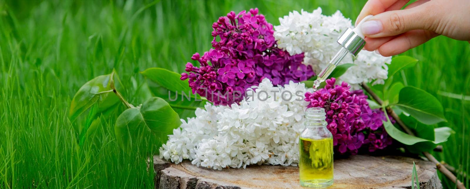 Lilac essential oil on a wooden stump. Bottle with aromatic oil and lilac flowers.