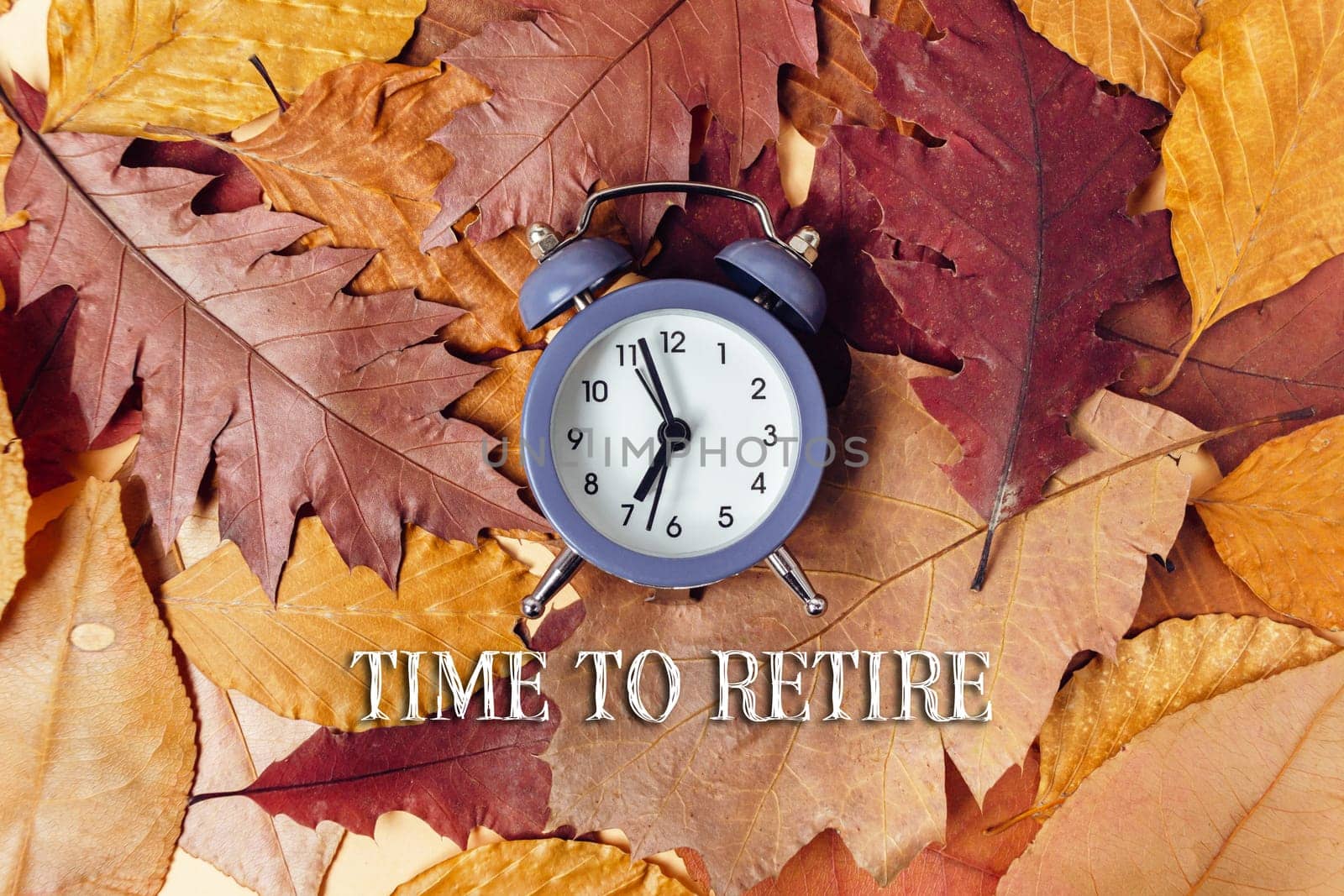 Clock is on top of a pile of leaves. The time is 06:55. The words Time to Retire are written below the clock