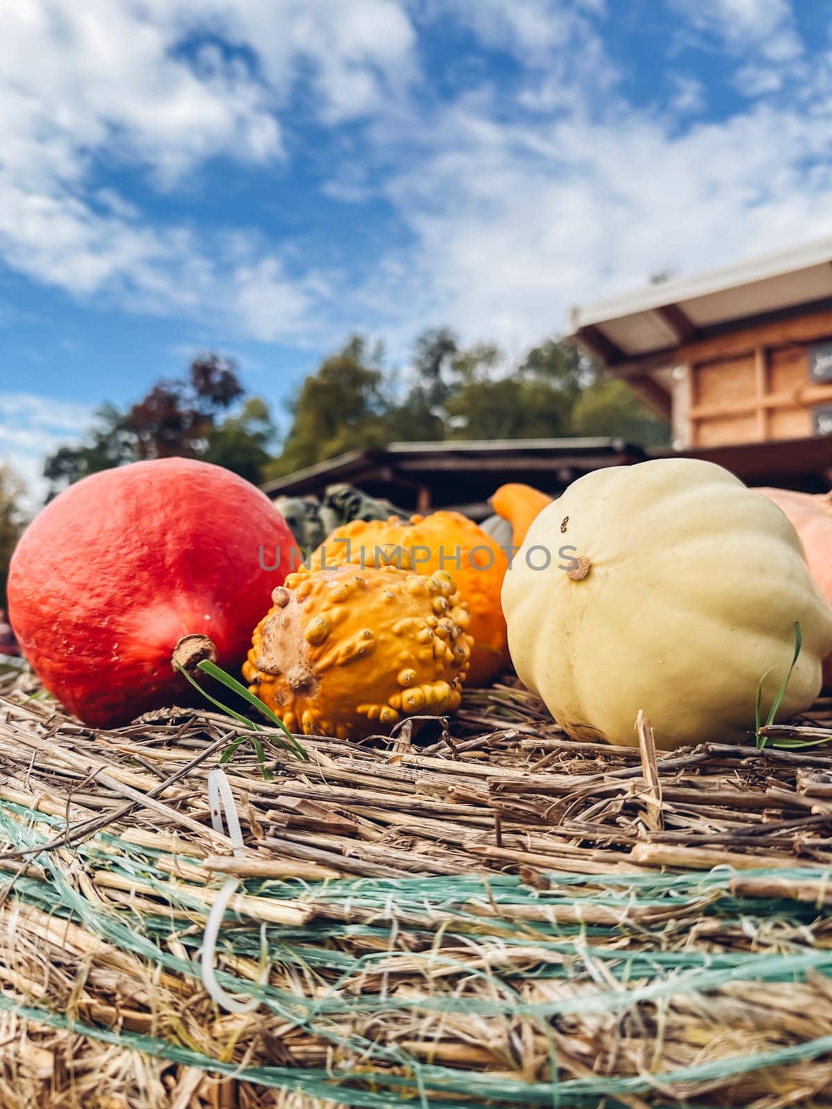 Bunch of pumpkins and squash are on a hay bale. The pumpkins are orange and yellow, and the squash are yellow and white