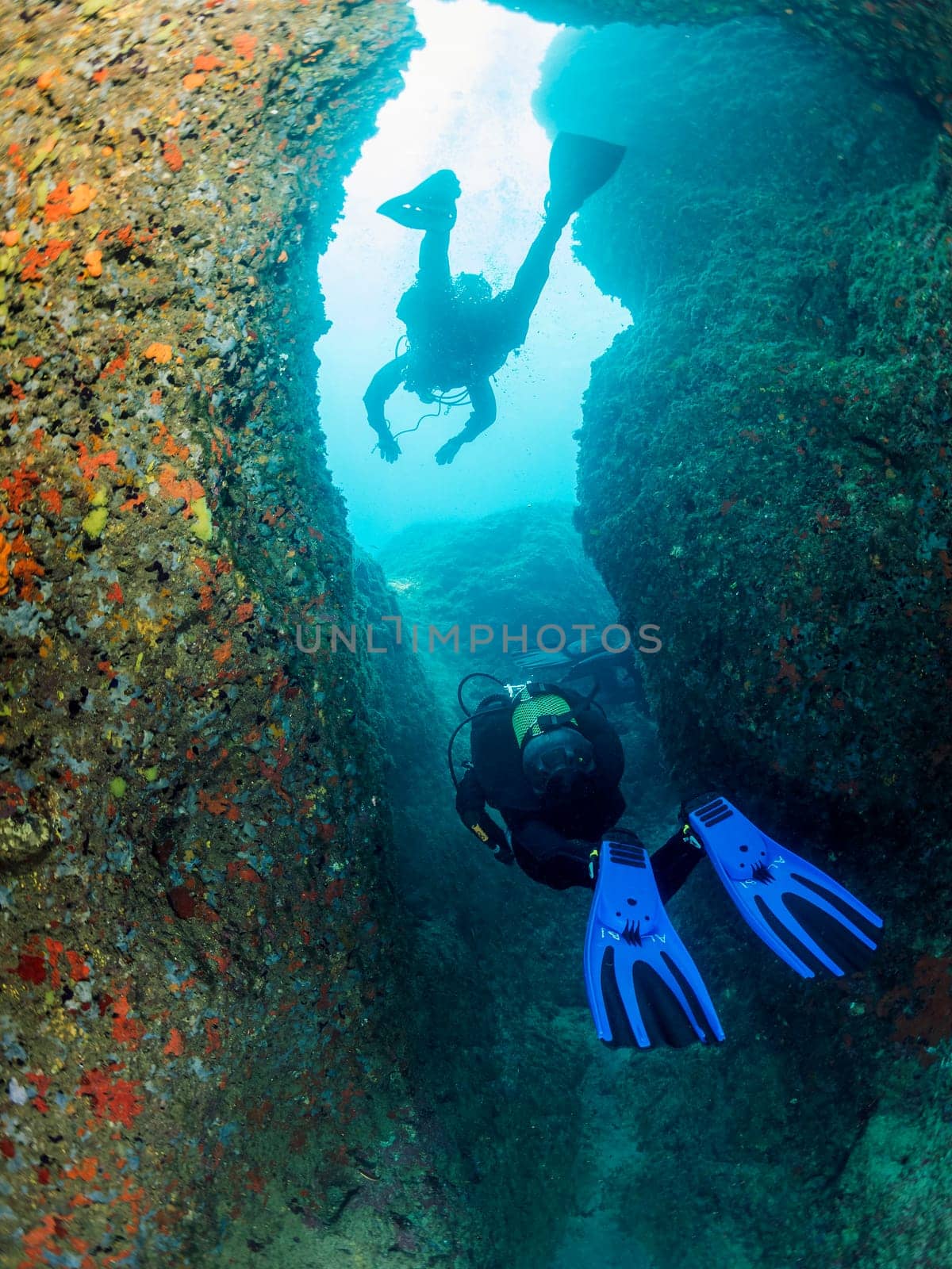group of two divers diving between the walls covered in coral and sea sponges of an underwater canyon, concept of recreational scuba diving and underwater adventure