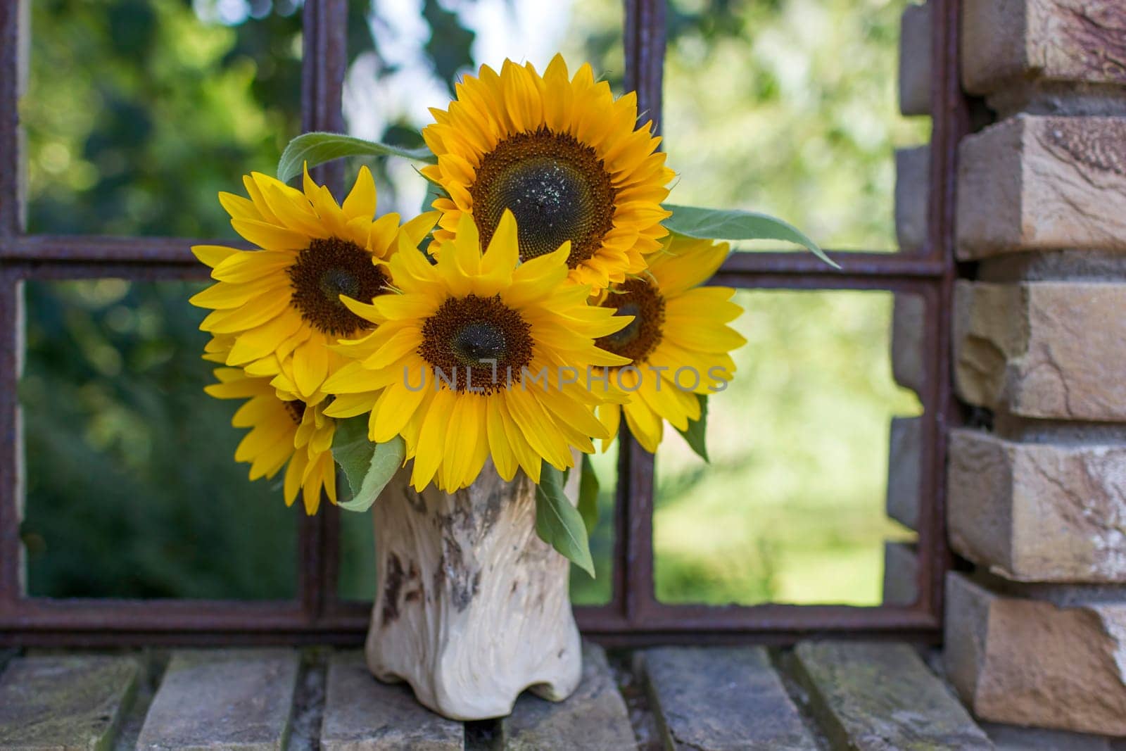 Sunflowers (helianthus) in a vase in old window