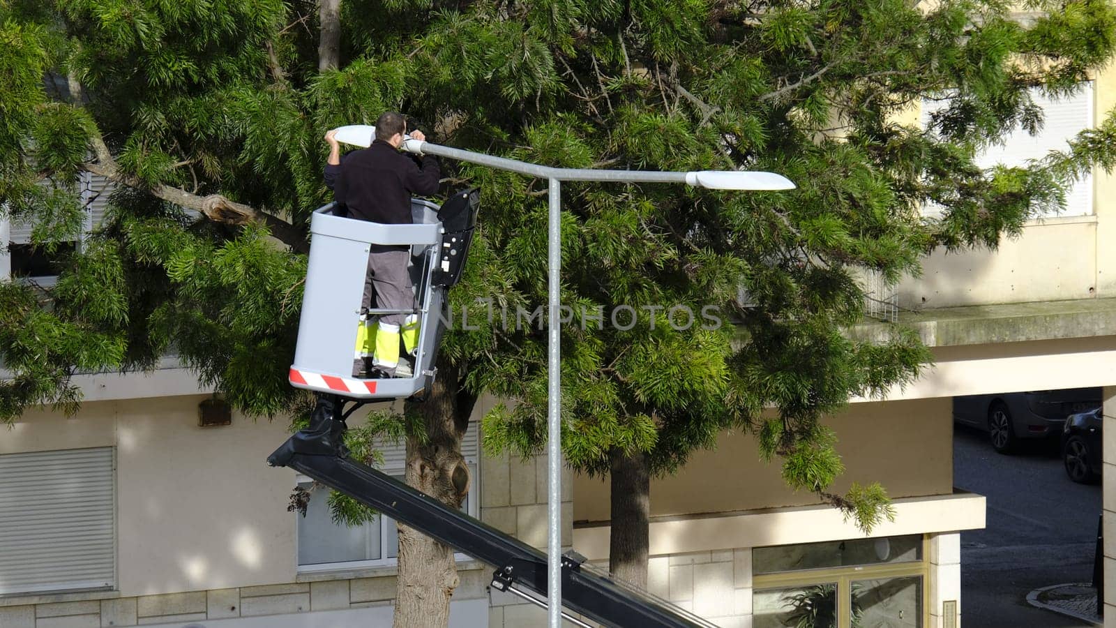 Two unrecognizable male electricians operate aerial work platform to repair street light in urban setting on clear sunny day. Hydraulic lift, public infrastructure, lamp post, essential urban maintenance, checks, public safety work, lush greenery