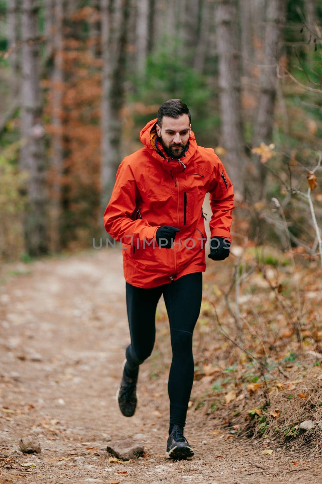 A man wearing a red jacket is jogging on a forest trail surrounded by tall pine trees and autumn foliage. The serene woodland path suggests a peaceful outdoor activity in nature during the fall season.