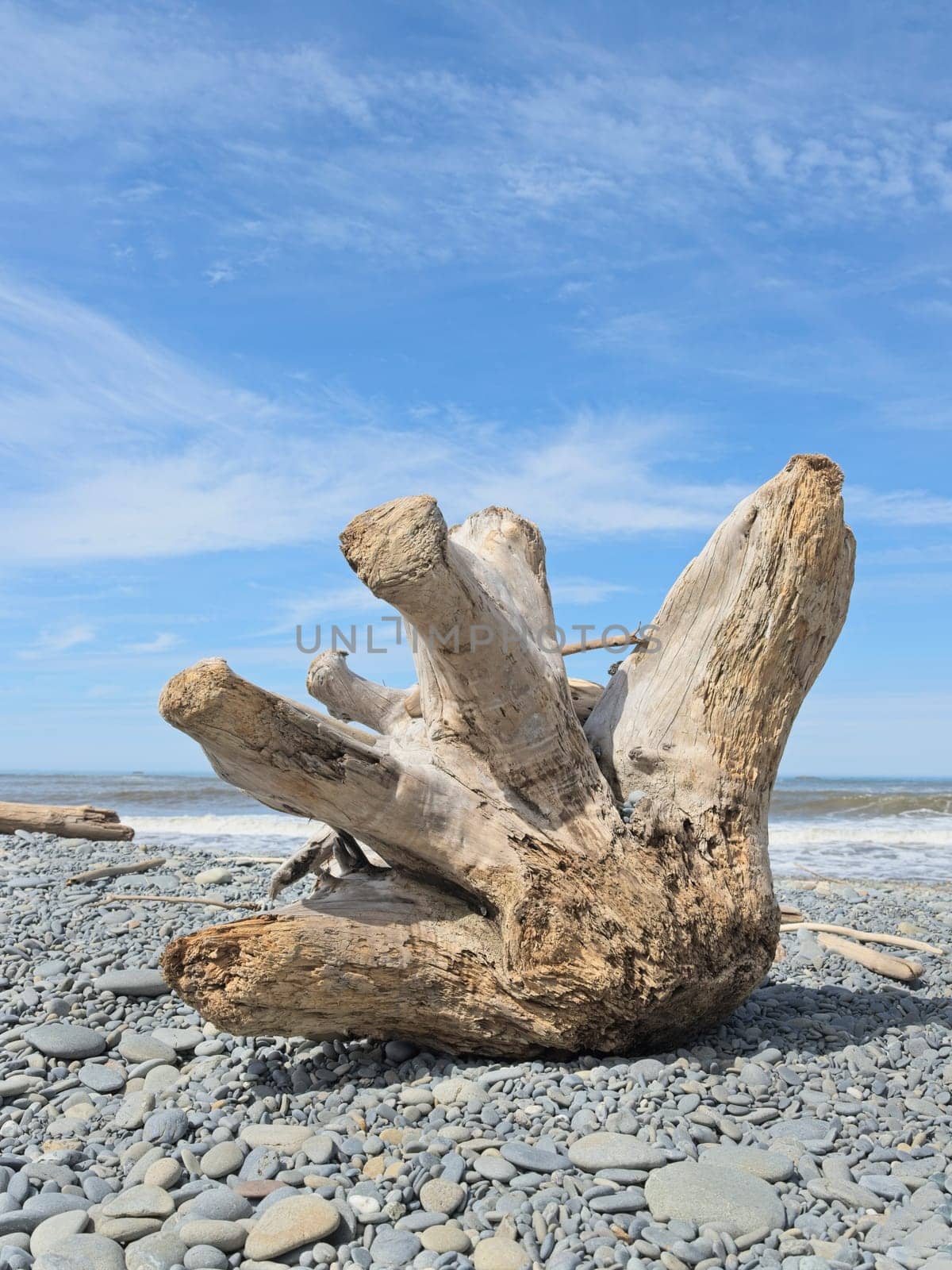 A shapely piece of driftwood sits on a rocky section of Ruby Beach in western Washington.