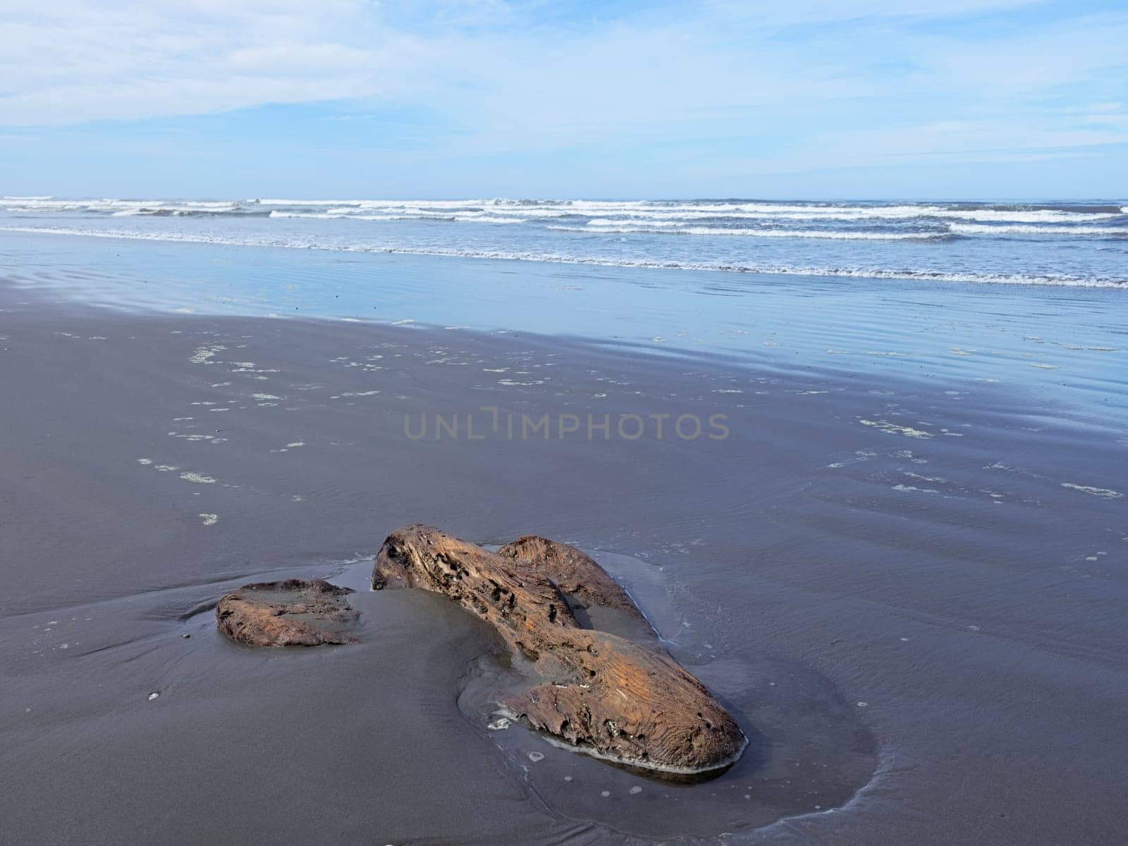 A small piece of old driftwood lays partly buried in the Kalaloch beach in Washington.