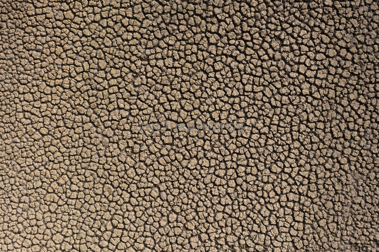 Aerial view dry and cracked earth in the reservoir at Sau reservoir, Catalonia