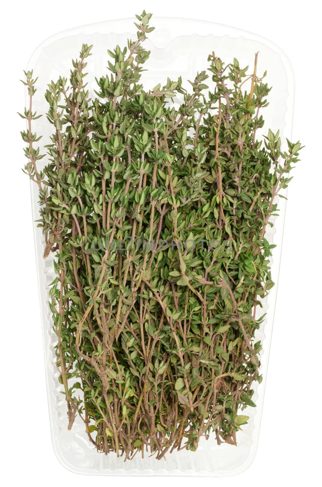 A bunch of fresh thyme in plastic packaging, ready for use in cooking