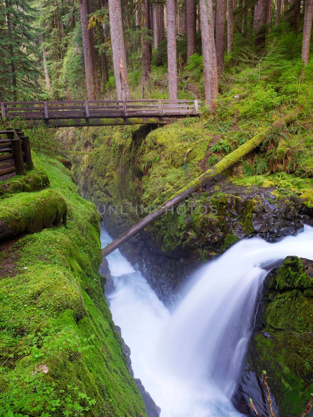 The beautiful Sol Duc Falls in the lush and beautiful Olympic National Park in western Washington.