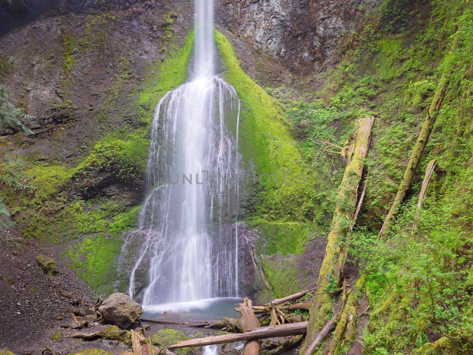 The lush and beautiful Marymere Falls, in the Olympic National Park in Washington State.