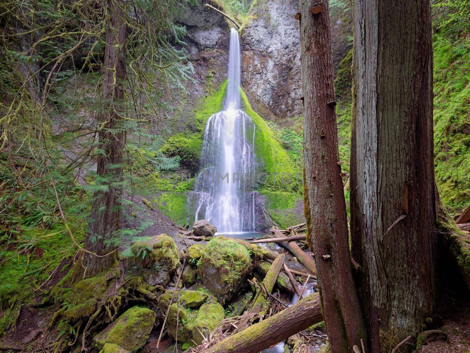 The lush and beautiful Marymere Falls, in the Olympic National Park in Washington State.