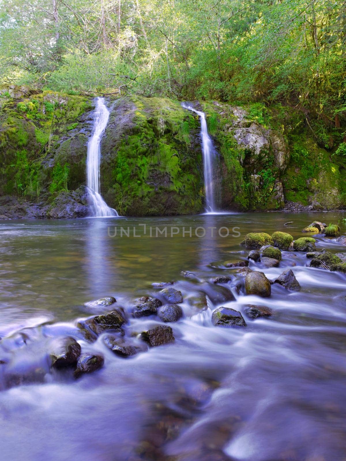 The small yet beautiful Beaver Creek Falls in the Olympic Peninsula of Washington State.