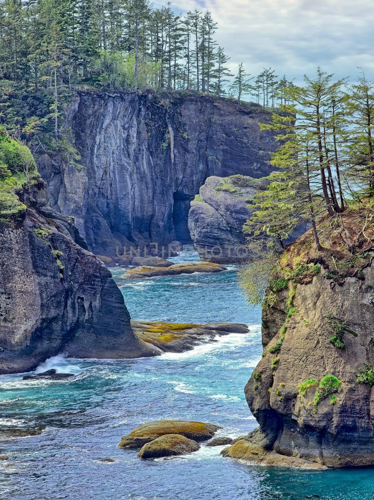 The scenic and rugged coastline of Cape Flattery in northwest Washington state.