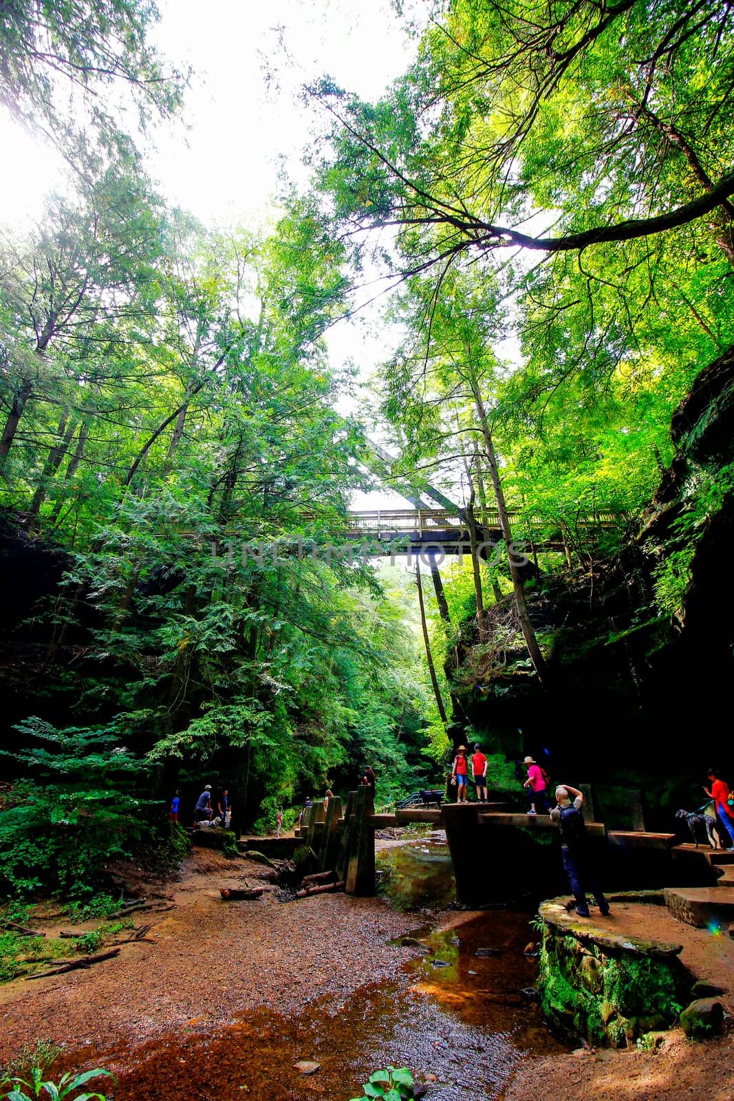 Views at Old Man's Cave, Hocking Hills State Park, Ohio