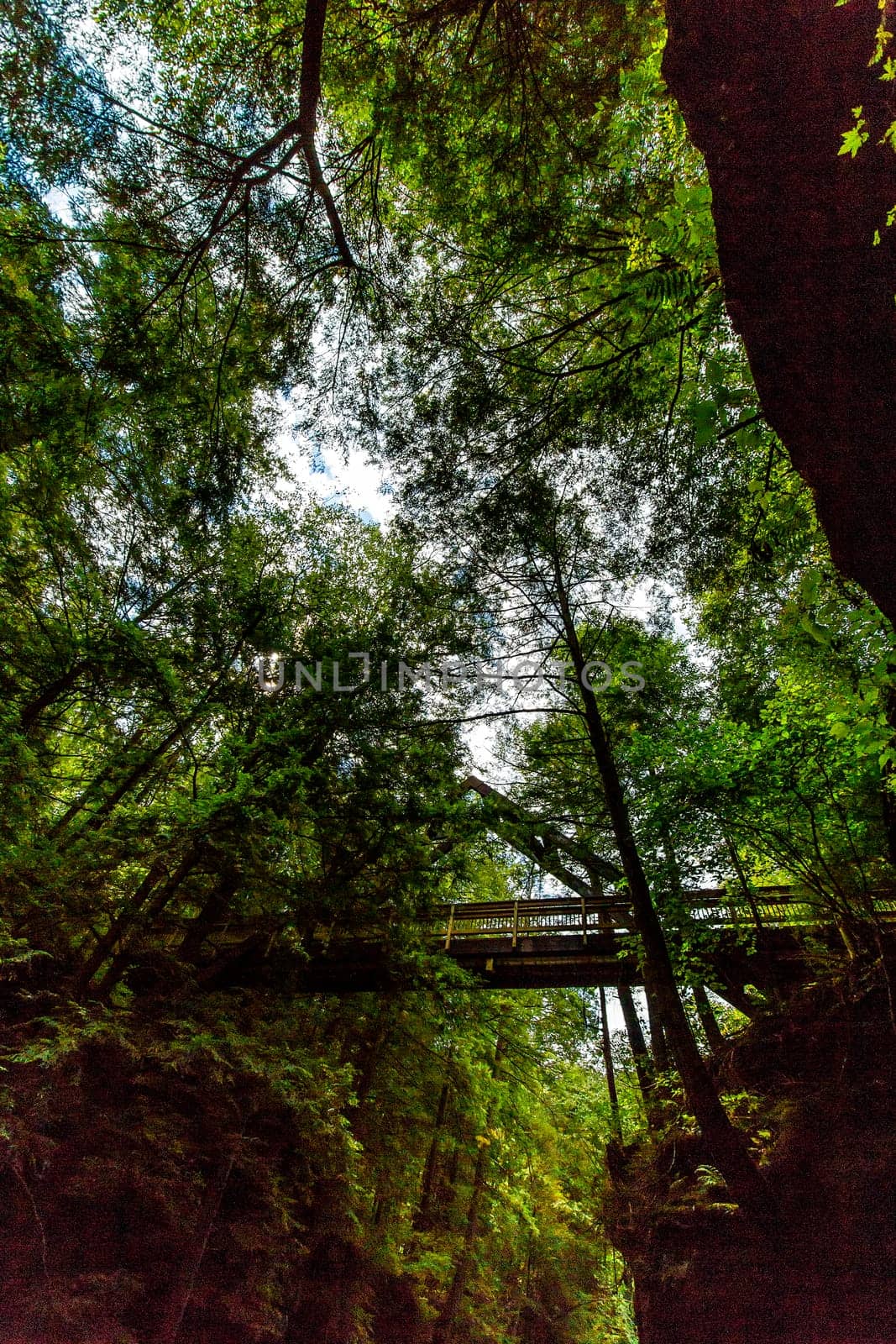 Views at Old Man's Cave, Hocking Hills State Park, Ohio