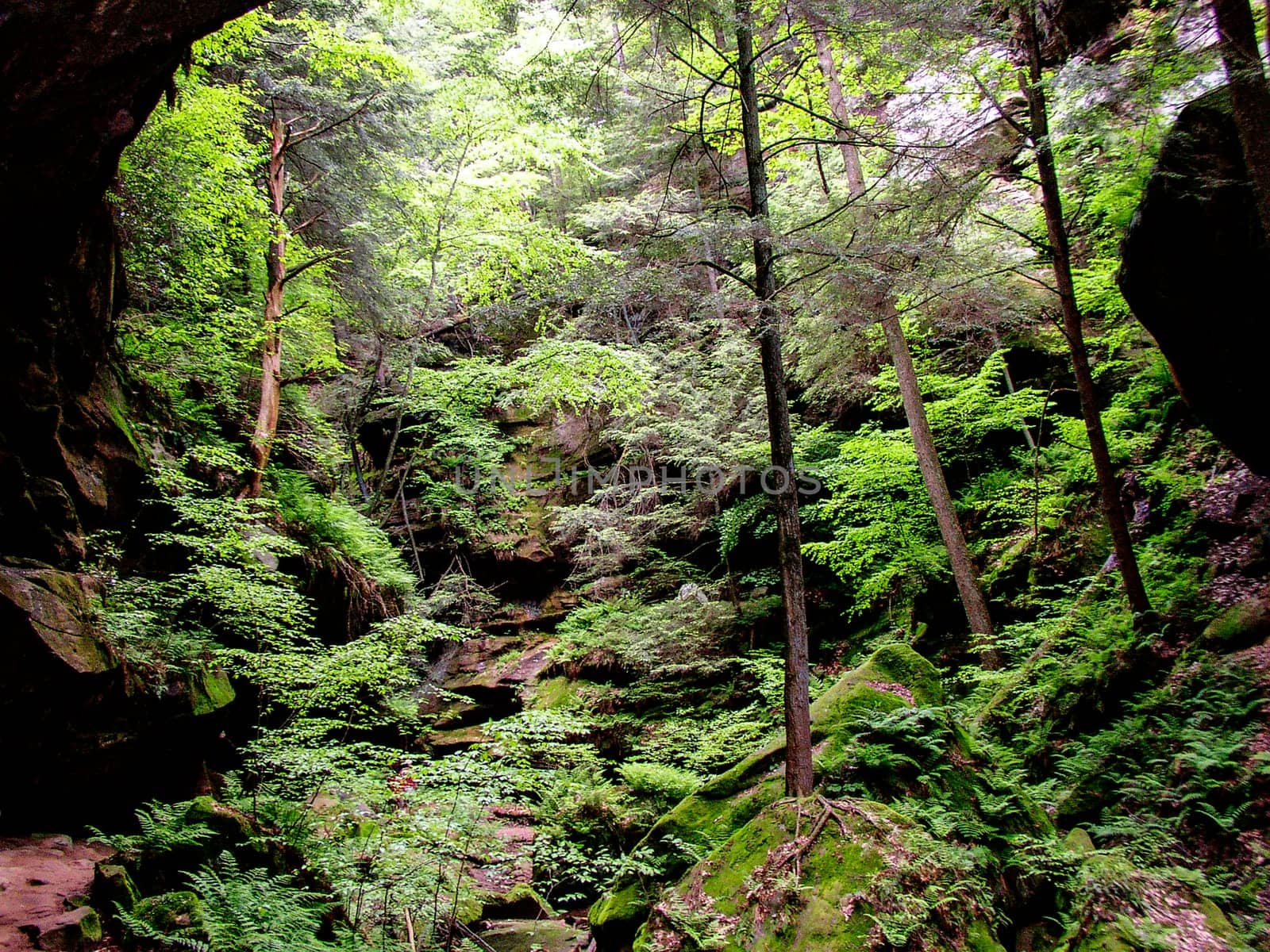 Views at Old Man's Cave, Hocking Hills State Park, Ohio