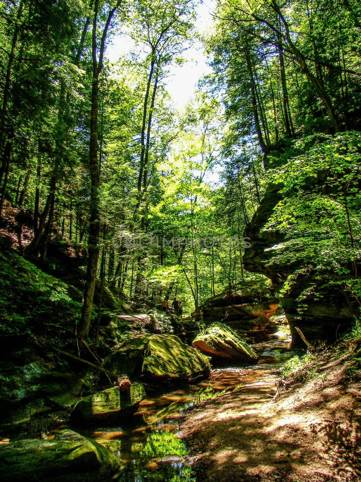 Views at Old Man's Cave, Hocking Hills State Park, Ohio