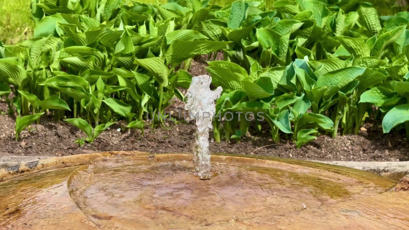 This serene and tranquil garden feature showcases a beautiful and refreshing water spray coming from a fountain