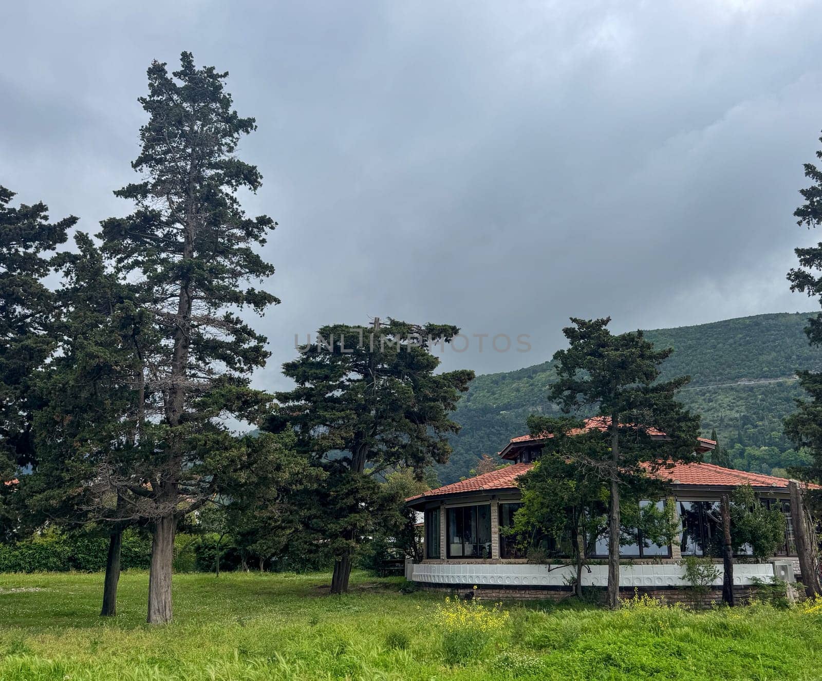 Budva, Montenegro - May 18, 2025: Picturesque view of the cafe surrounded by tall trees and mountains.