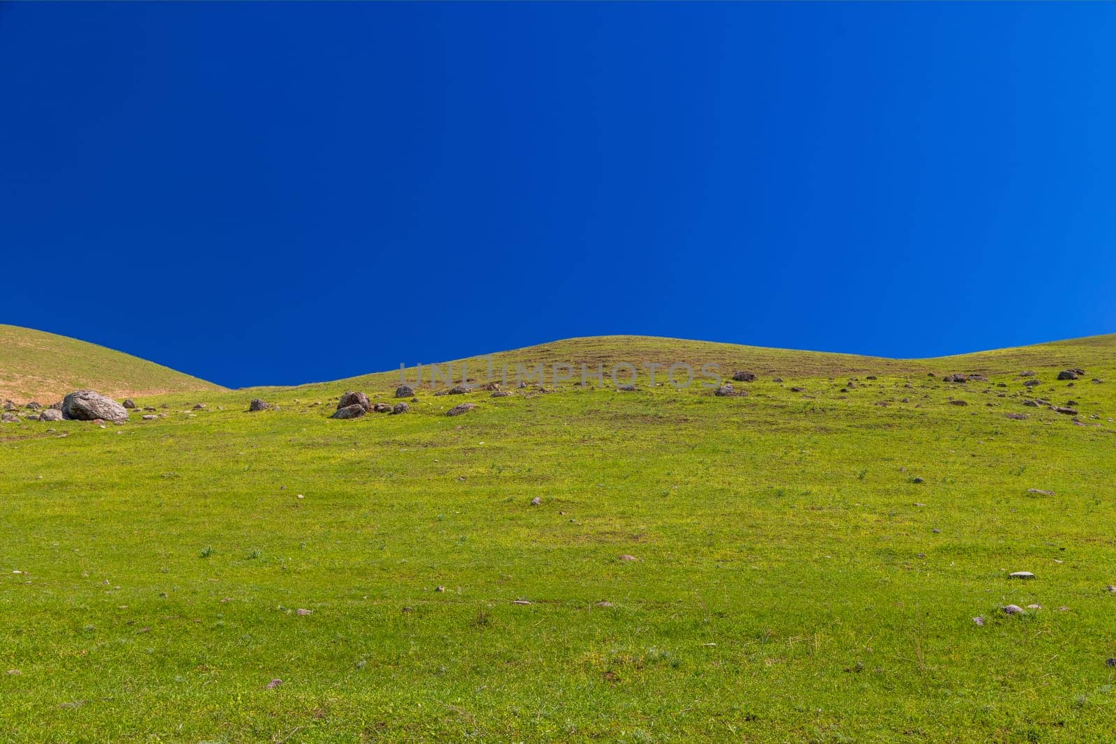 Green grassy hill with scattered rocks under a deep blue cloudless sky, captured in spring daylight in rural Kyrgyzstan