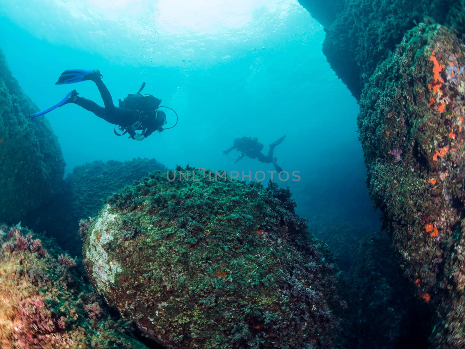 group of two divers diving between the rocks covered with coral and sponges at the bottom of the sea, concept of recreational scuba diving and underwater adventure