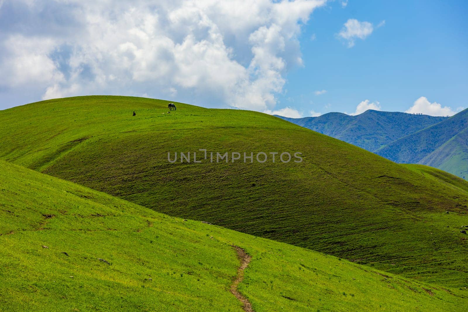 Winding footpath across grassy hills with distant horse and mountains in background