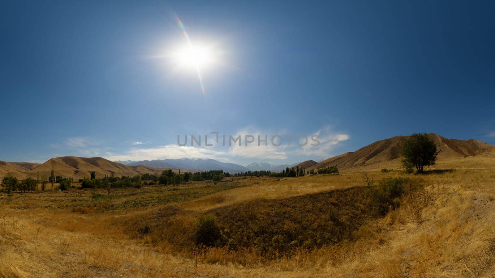 Dry grass field at sunny autumn day. Blue sky with sun on the sky.