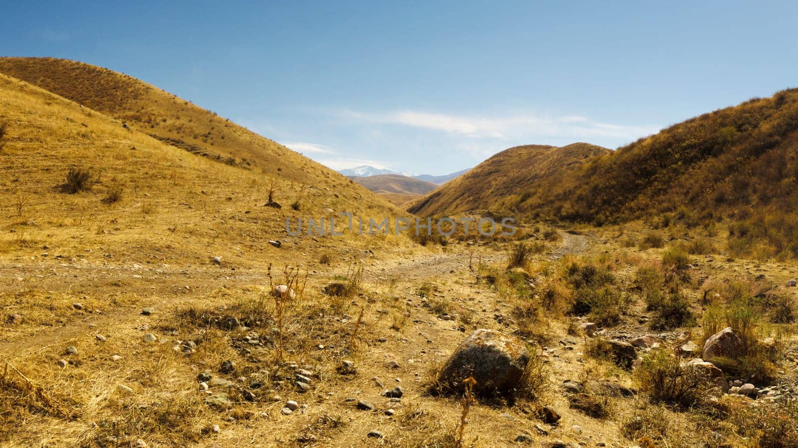 A view of arid, yellow-brown hills and rocky terrain under a pale blue sky, with snow-capped mountains in the distance.