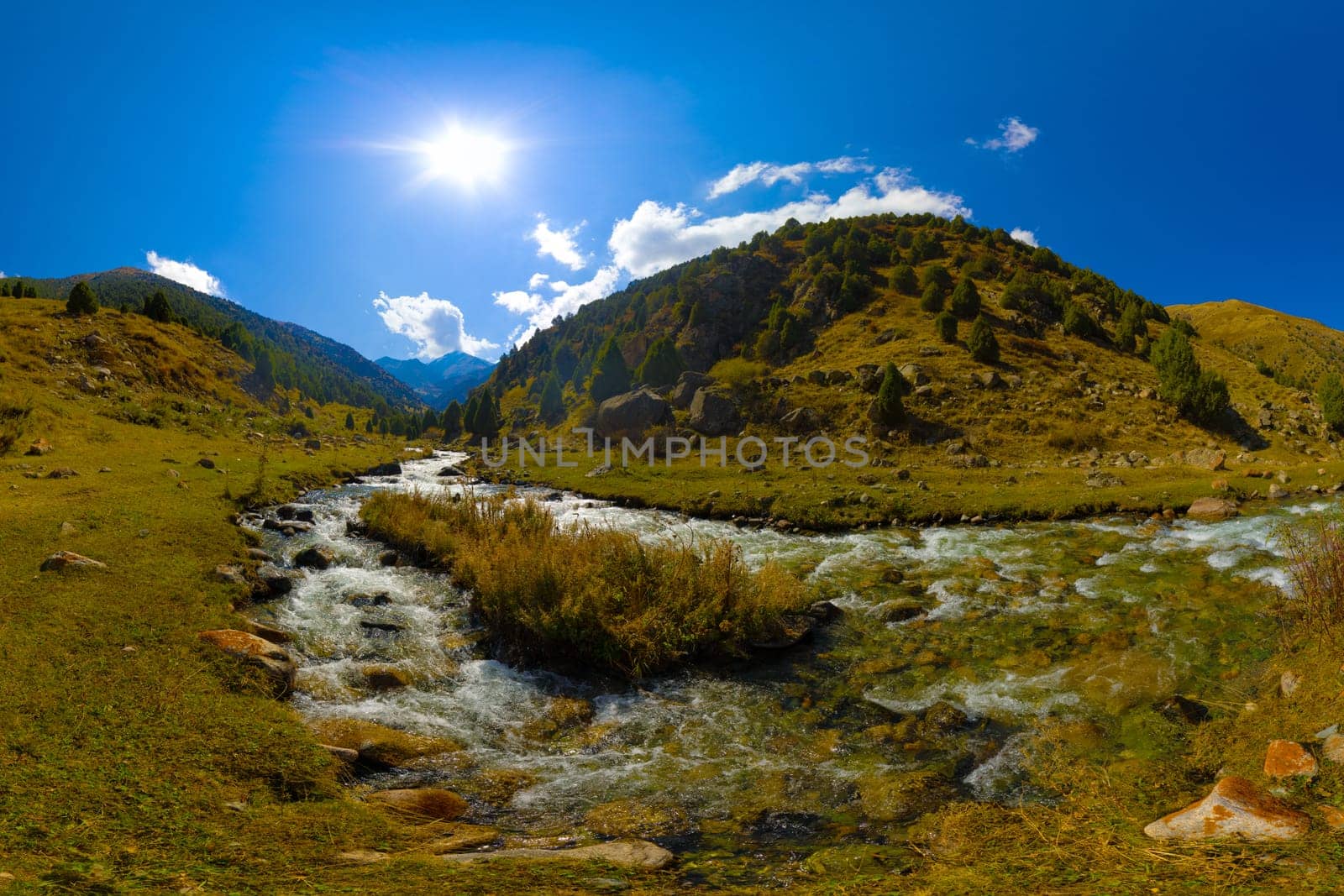 Rocky mountain river cascades through a Zhylamysh Gorge. Sunlit slopes covered with grass and scattered juniper trees rise under a bright blue sky with clouds.