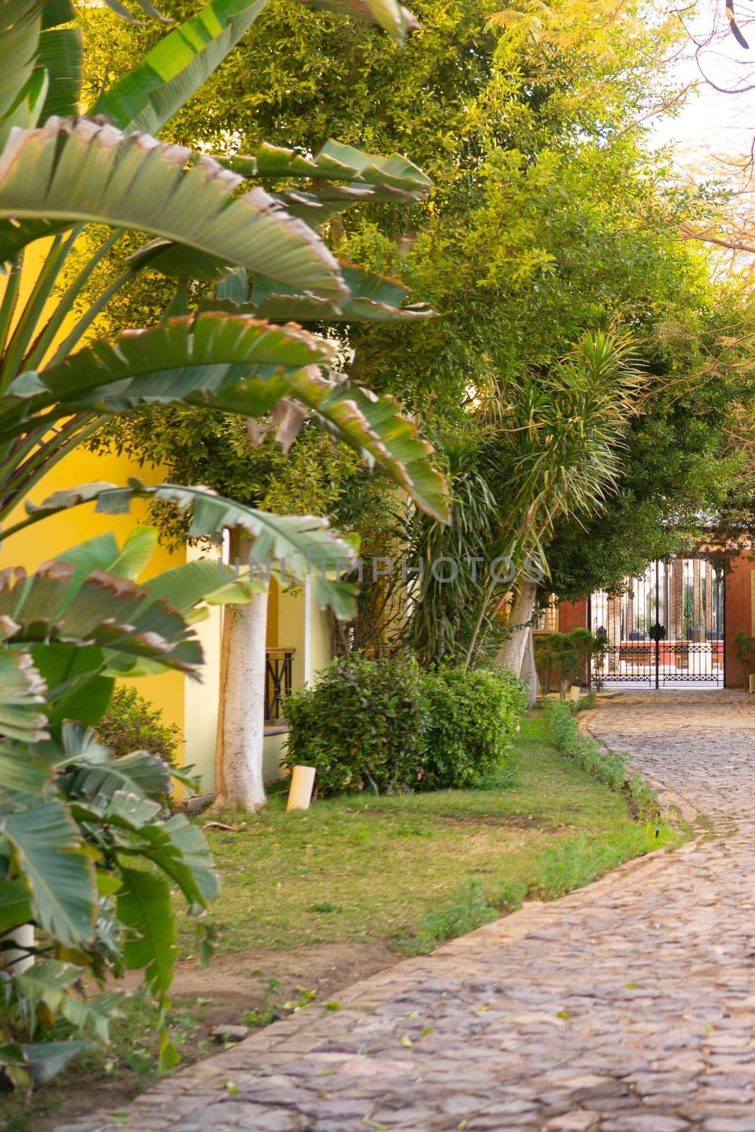 Winding stone path through a lush tropical garden leading towards buildings and a gate. Peaceful resort landscape design and natural pathway