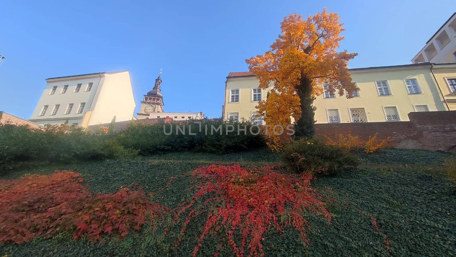 October 22 2024 Hradec Kralove, Czech Republic Europe, Kralov region, Kralovehradecky kraj, Autumn tree building. High quality photo sky blue landscape background trees church city