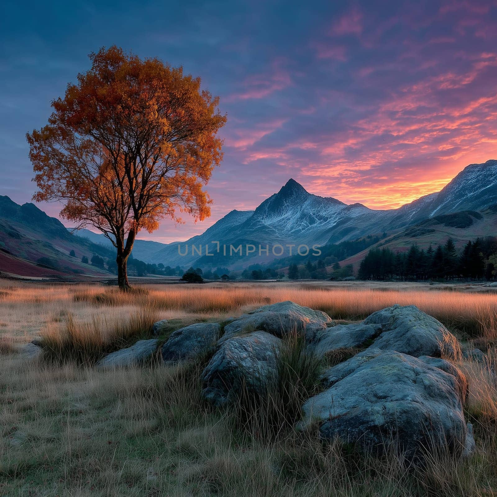 A vibrant orange tree stands near mossy rocks in a grassy valley with a snow-dusted mountain and colorful sunrise sky in the background.