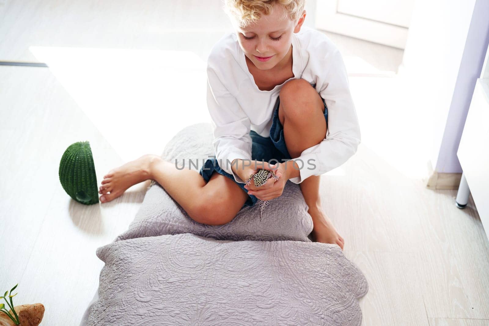 A young boy sits on a soft cushion, engaged with a small pet. Sunlight pours into the room, enhancing the warmth and comfort of the inviting space.