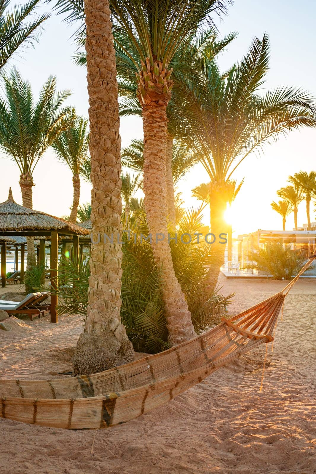 A hammock hangs between palm trees, gently swaying in the warm breeze. The golden sunset casts a peaceful glow over the sandy beach, creating a tranquil atmosphere for relaxation.
