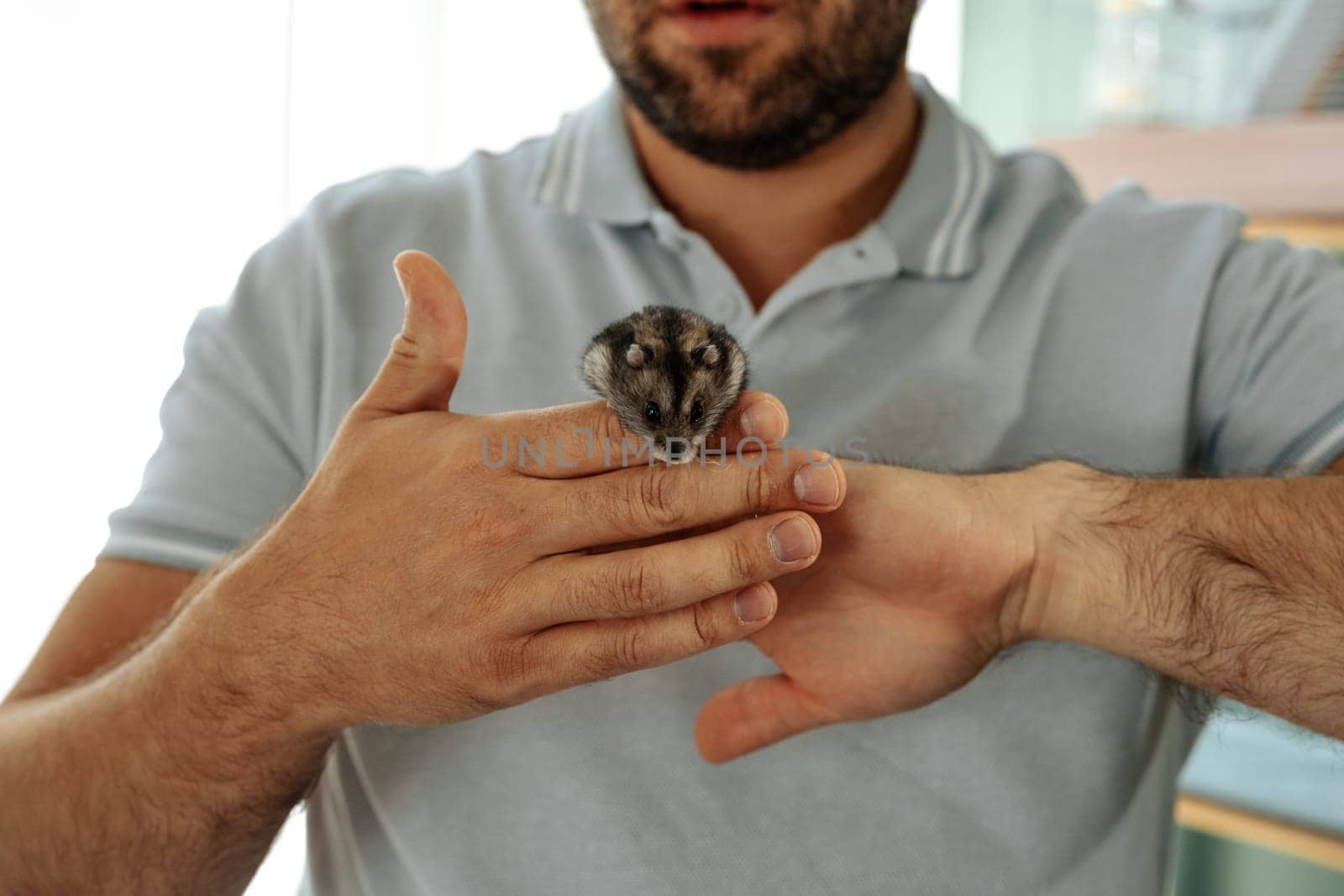 A man is carefully holding a small, fluffy rodent in the palm of his hand, demonstrating affection in a cozy indoor setting illuminated by natural light.