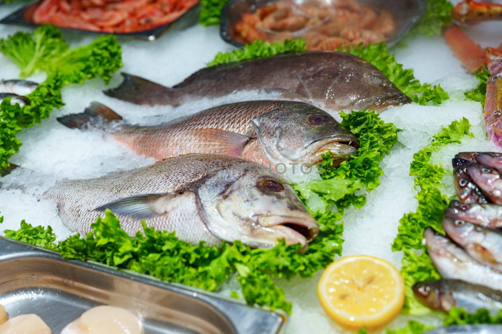 Assorted seafood is presented attractively on crushed ice at a market. Fresh fish rest atop vibrant green lettuce, surrounded by shellfish and garnished with lemon slices.