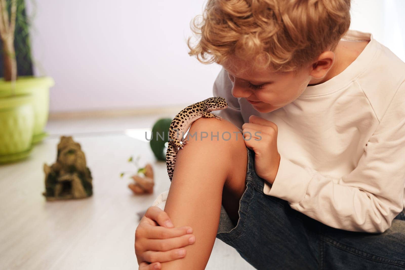 A young boy intently watches a leopard gecko climbing on his knee in a comfortable indoor space. Sunlight filters through the window, creating a warm atmosphere for exploration.