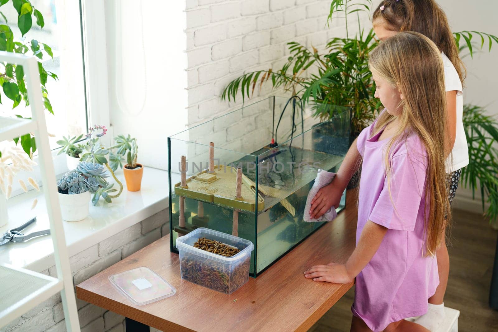 Two girls are engaged in cleaning a fish tank in a cozy indoor space filled with plants. They demonstrate care for aquatic life while learning responsibility on a sunny afternoon.