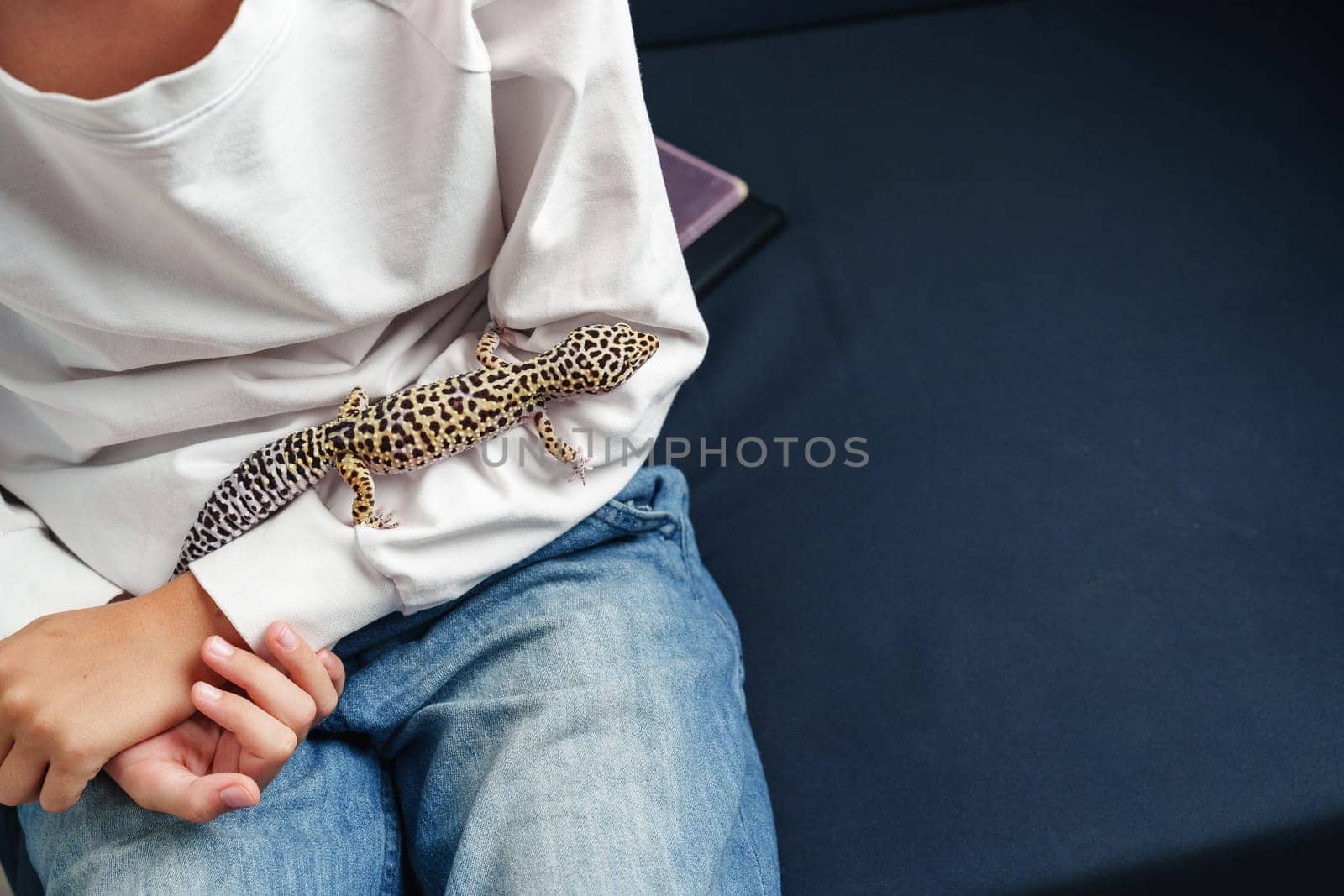 A child is sitting comfortably on a sofa, gently holding a leopard gecko on their arm. The relaxed setting suggests a quiet afternoon of bonding with the pet.