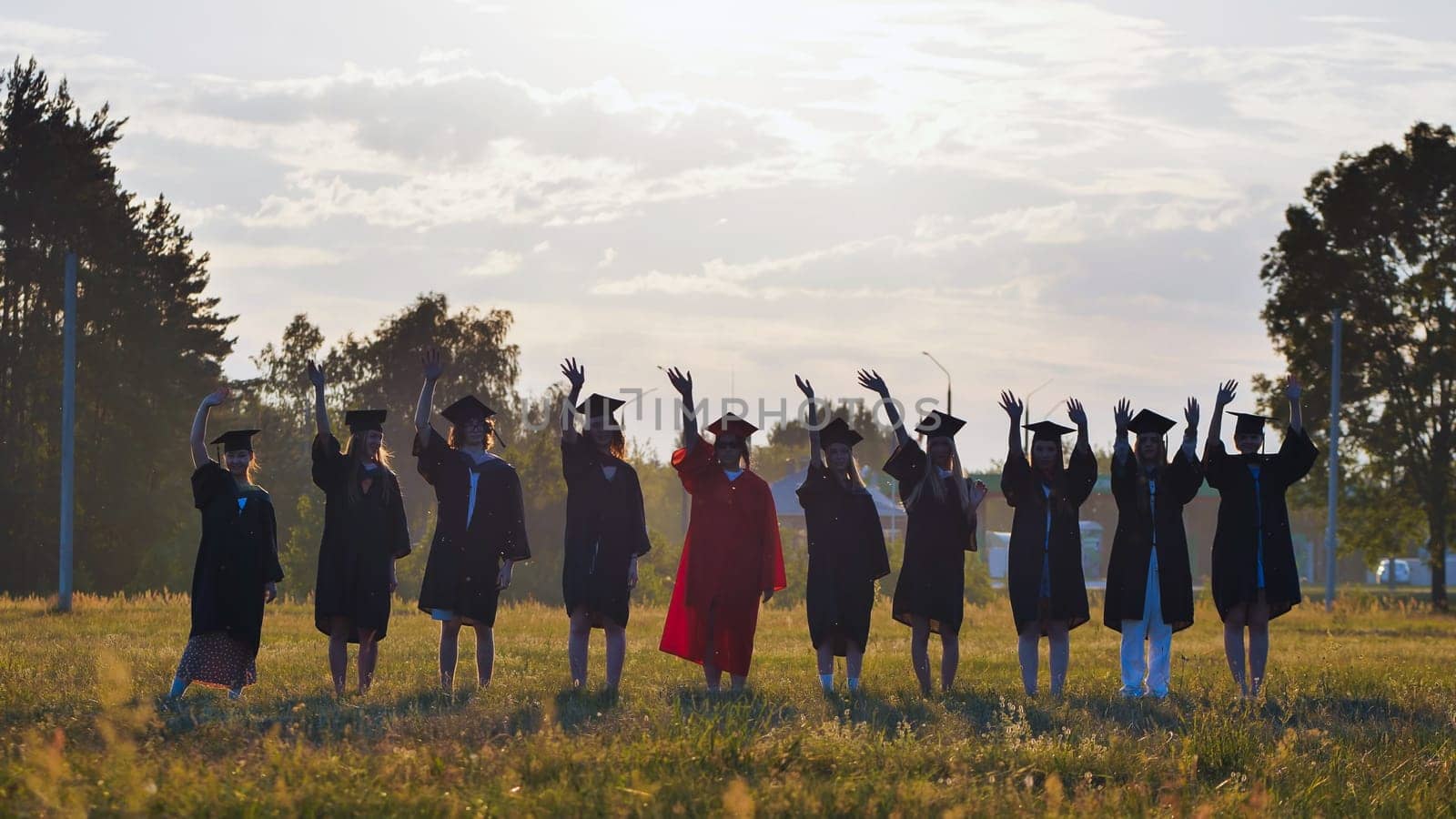 Group of cheerful graduates in academic gowns waving hands while standing in a row in field at sunset after graduation ceremony