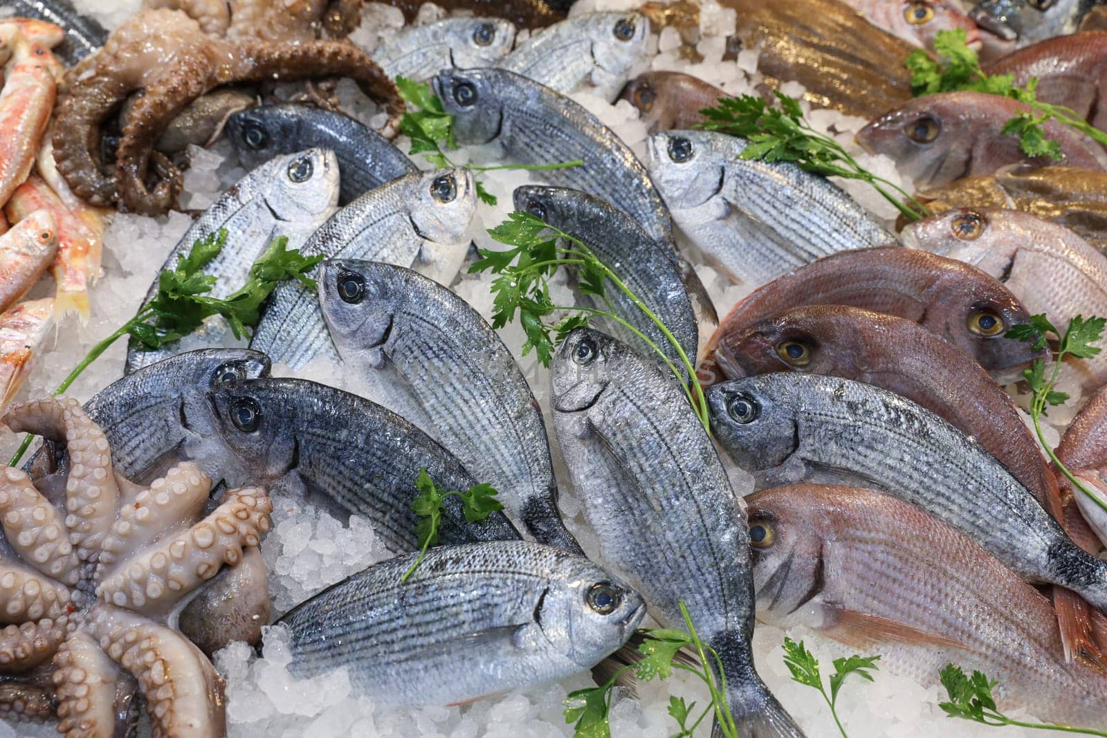 Bustling fish market in Greece displays abundant seafood like fresh fish, octopus, and various shellfish on ice, emphasizing local culinary traditions.