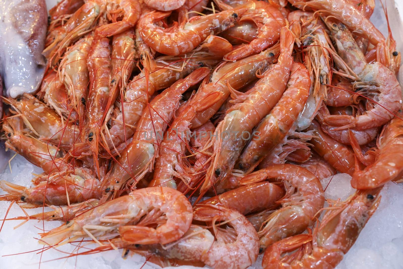 Vibrant seafood at Greek fish market features fresh shrimp piled on ice, illustrating local fishing culture and daily trade of marine delicacies.