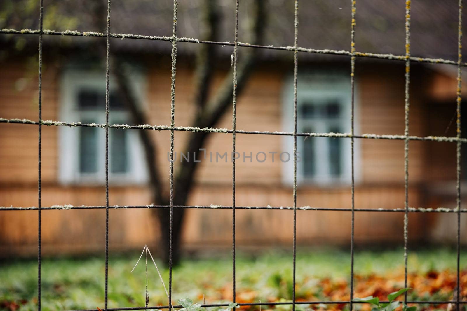 Rusty wire mesh fence covered with moss and lichen, blurred wooden house and autumn leaves on the ground in the background
