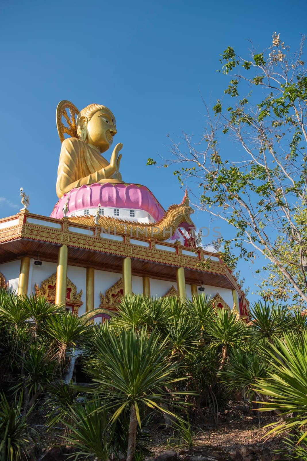 Wat Tham Pha Keung in Amphoe Phu Wiang in  Province of Khon Kaen in Thailand. Thailand, Khon Kaen, December, 6, 2024