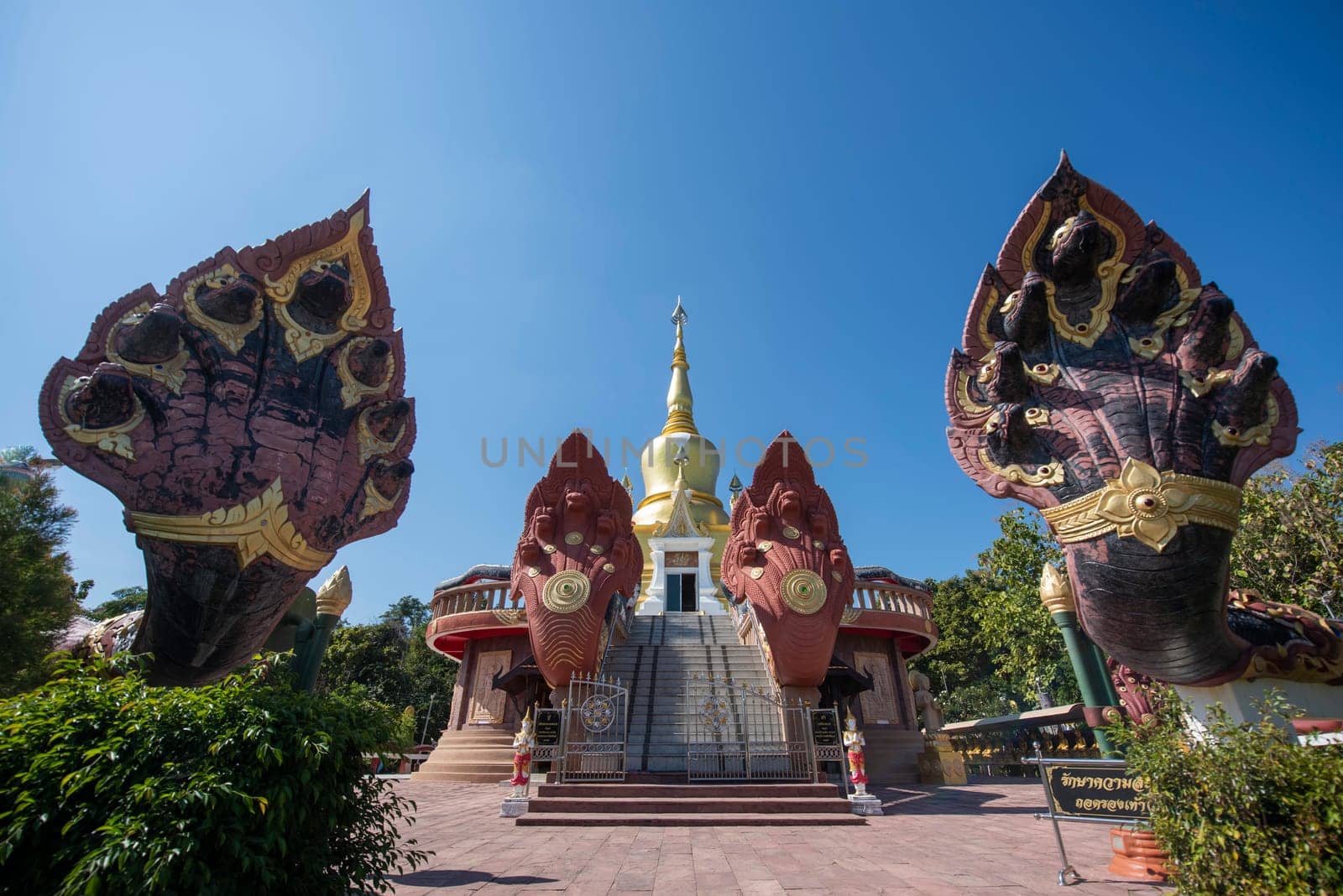 the Chedi at Wat Pa Kittiyanusorn in Amphoe Phu Wiang in  Province of Khon Kaen in Thailand. Thailand, Khon Kaen, December, 6, 2024