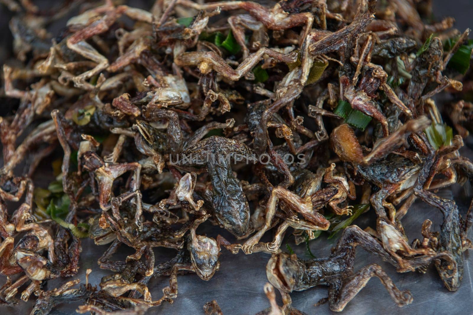 Grill Frog at Thai Food Market on Wat Saket Festival Fair in Bangkok in Thailand.  Thailand, Bangkok, November, 8, 2024.