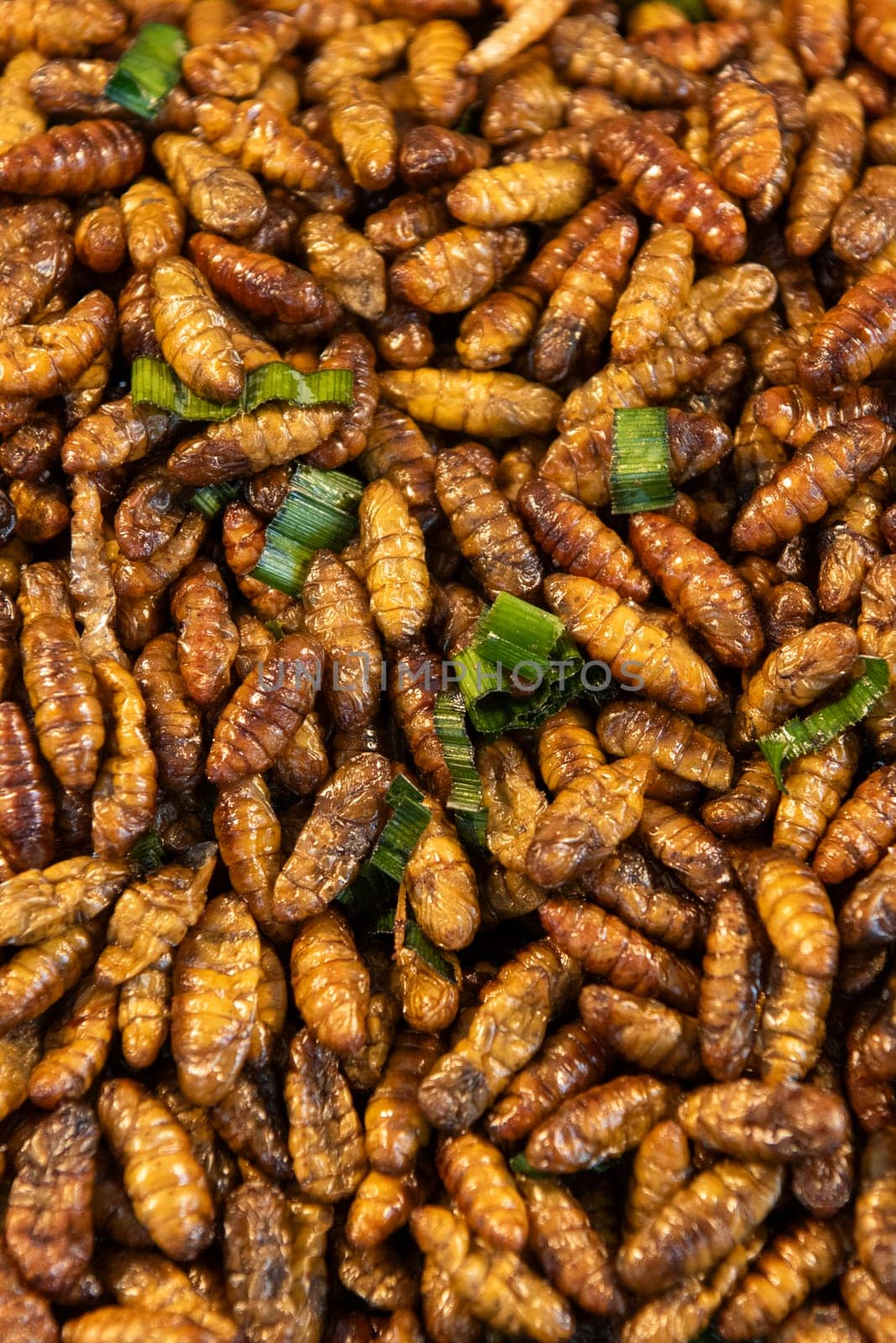 crispy Insects and worms at Thai Food Market on Wat Saket Festival Fair in Bangkok in Thailand.  Thailand, Bangkok, November, 8, 2024.