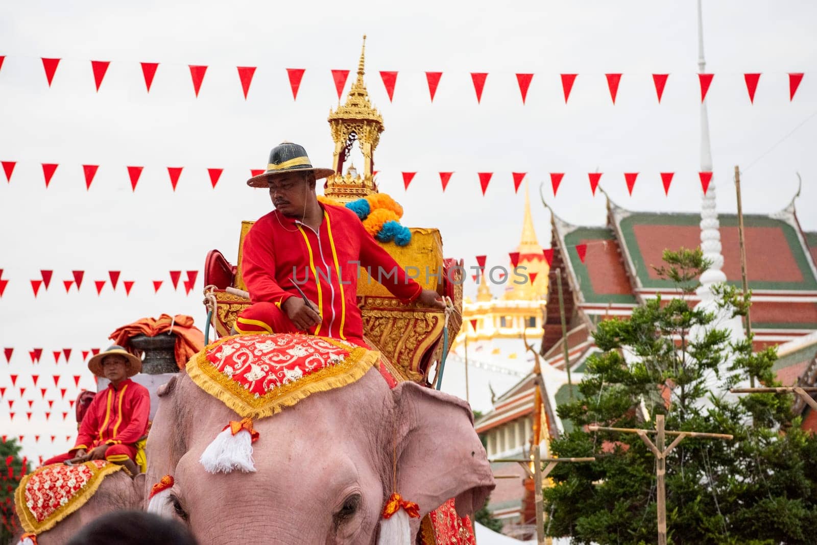 Thai Elephants at the Opening Ceremony of Wat Saket Festival Fair in Bangkok in Thailand.  Thailand, Bangkok, November, 8, 2024.